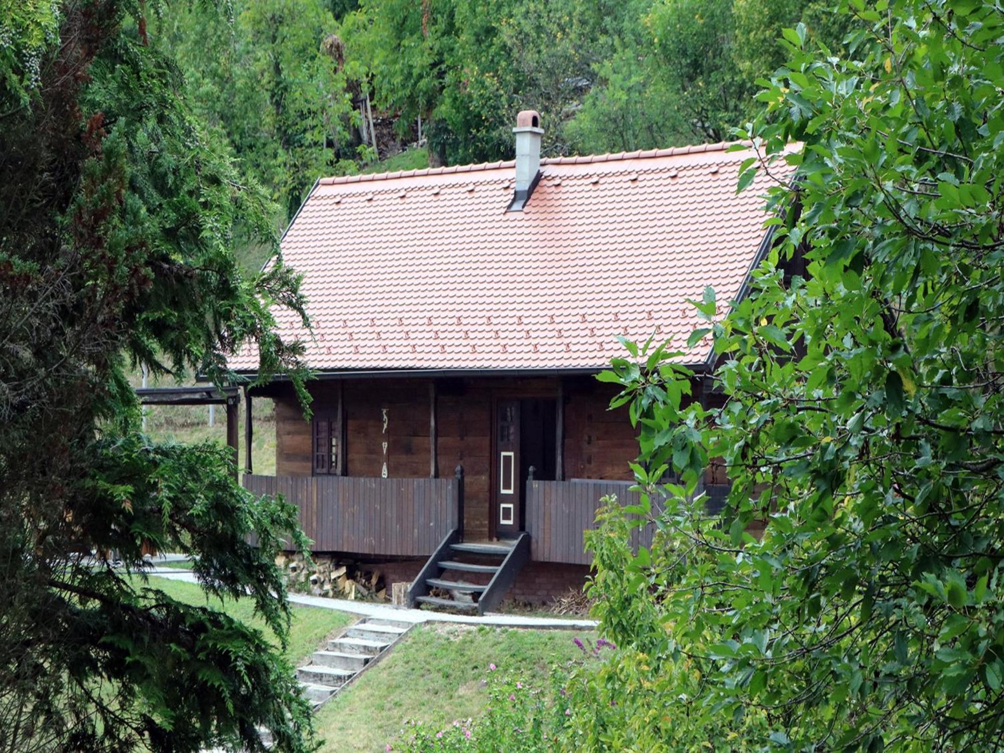 Tradicionalna Zagorska Drvena Kuca Stara Murva 图赫尔斯克利普利采 外观 照片